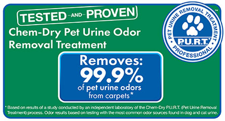 Pet Urine & Odor Removal by Chem-Dry of New Port Richey Removes 99.9 of Pet Urine Odors and 99.2% of Pet Urine Bacteria