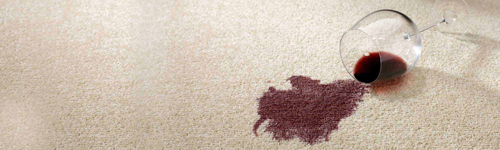 Professional Stain Removal Service by Chem-Dry of New Port Richey